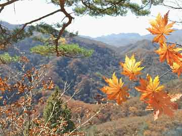 无锡第一高灵山大佛，门票要210，客流量10000多想去都困难 