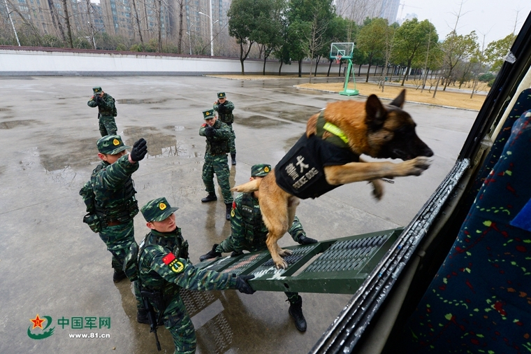 摩托车一升油能跑多少公里呀